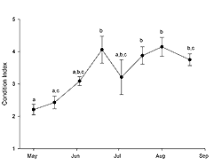 Figure 1. Condition index of adult <i>Crassostrea virginica</i> transplanted to Floyd Bennett Field in Jamaica Bay (New York) in 2003. 